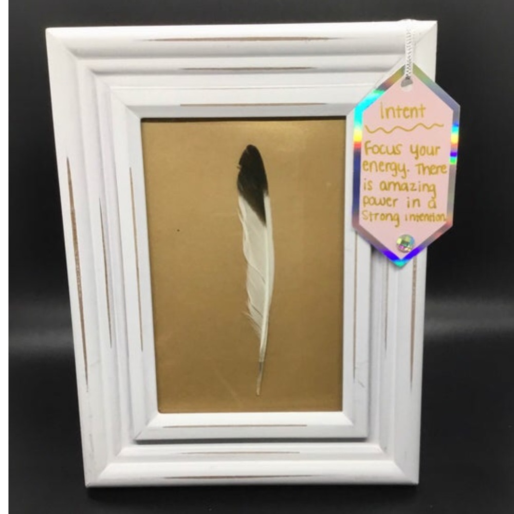 Reiki Infused Real Framed Feather w/ Angel Message